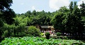 長(zhǎng)沙出發(fā)到花明樓、韶山、張家界國(guó)家森林公園、天門仙山國(guó)家森林公園四日游