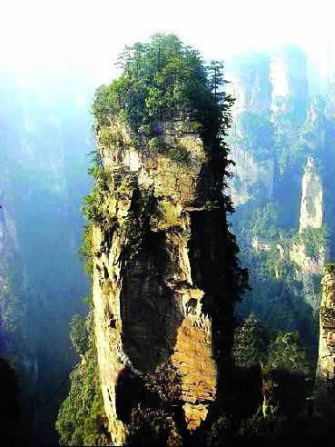 張家界國家地質(zhì)森林公園、黃石寨、金鞭溪休閑一日游