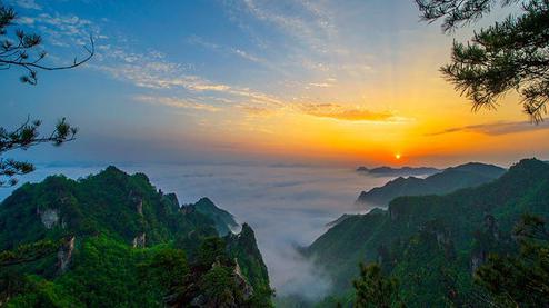 張家界森林公園（金鞭溪、袁家界、楊家界、天子山、十里畫廊）住山上2天1游（可看日出）